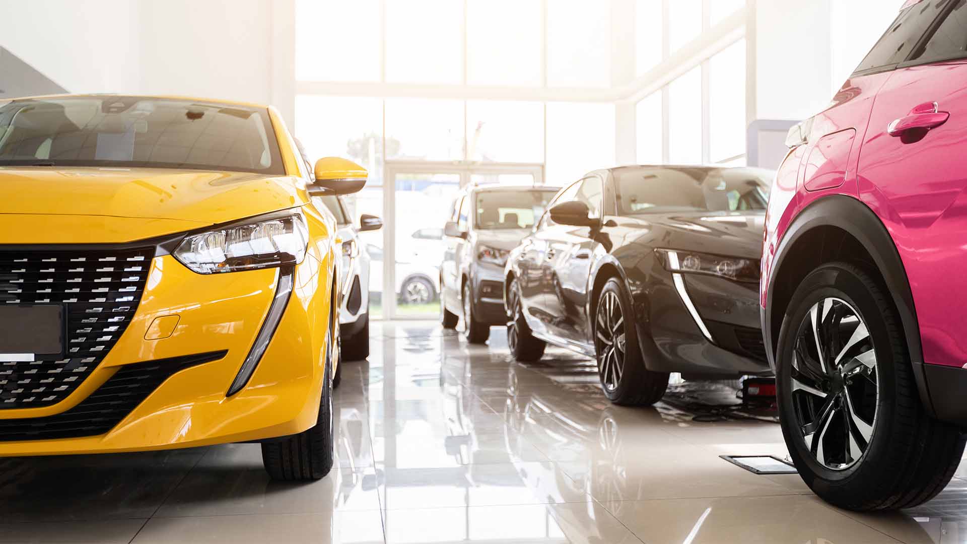 Car Showroom Orange And Pink