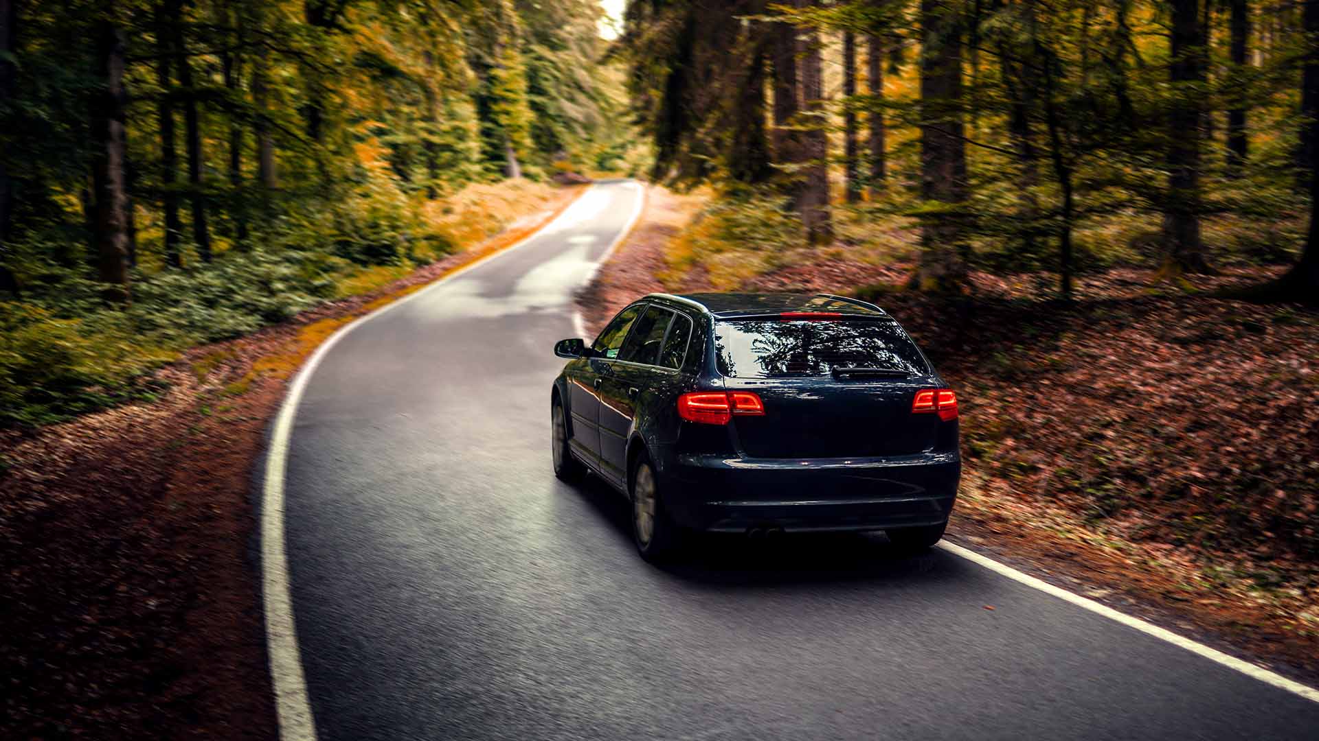 Car Driving Through Woodland Road