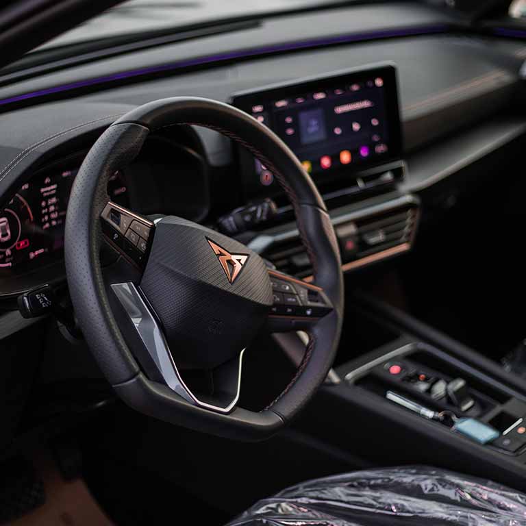 Cupra Steering Wheel